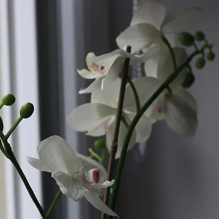 Gaestehaus Bachmann Dutenhofen