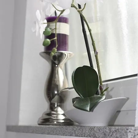 בית אירוח Gaestehaus Bachmann *