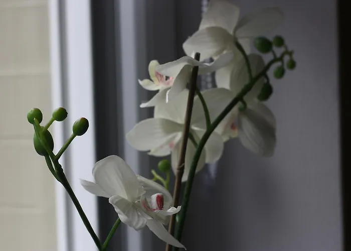 Gaestehaus Bachmann Dutenhofen